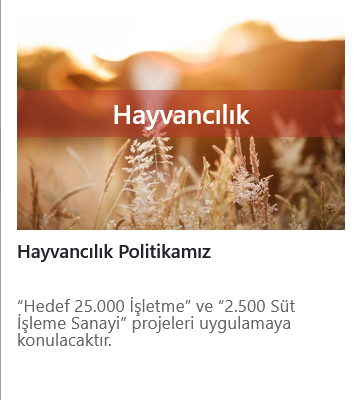 hayvancilik - hayvancilik